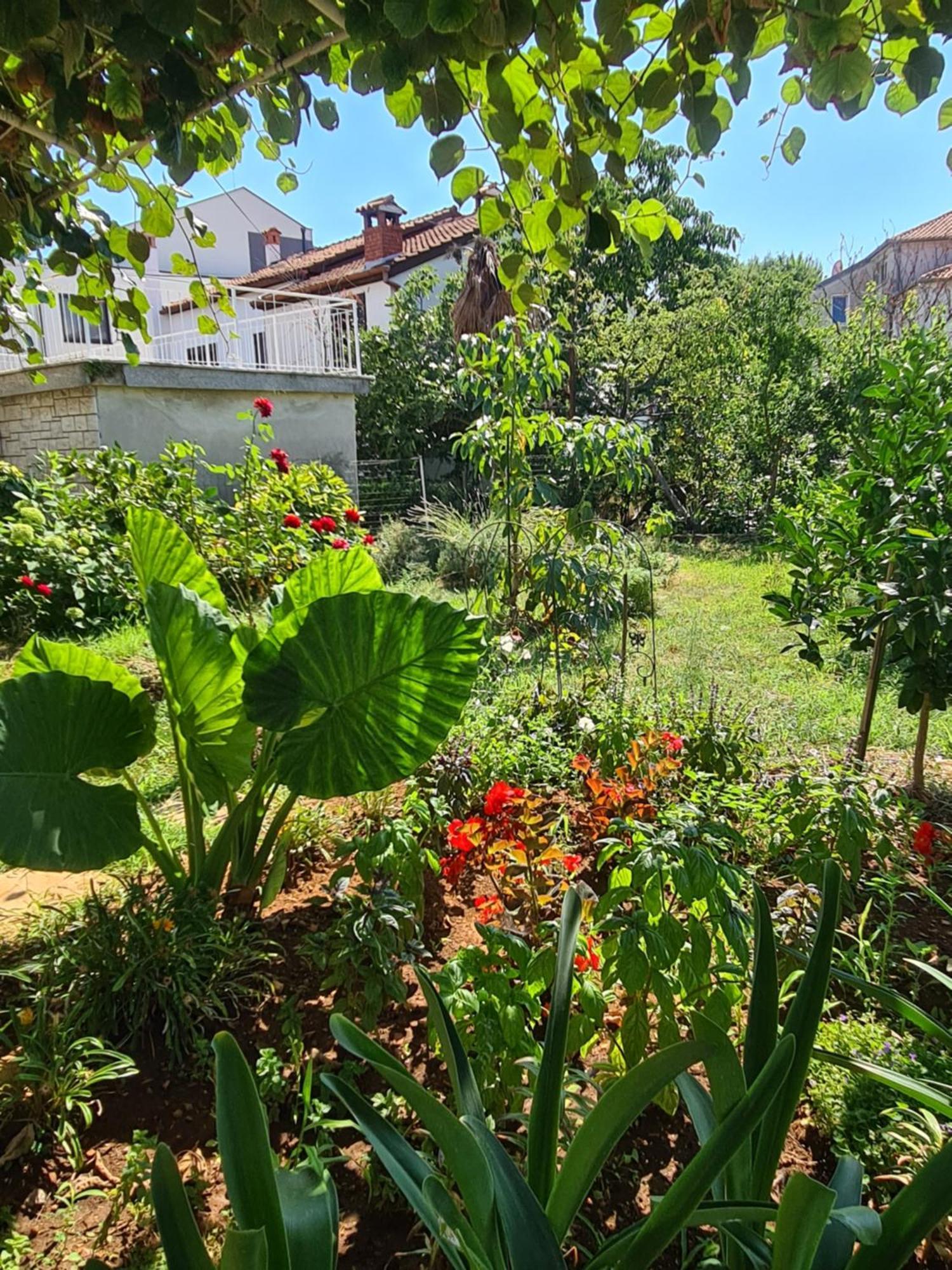 Ada Appartement Rovinj